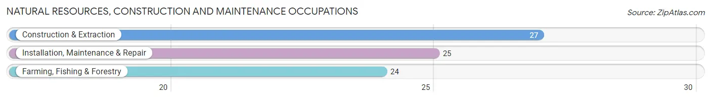Natural Resources, Construction and Maintenance Occupations in Appleton