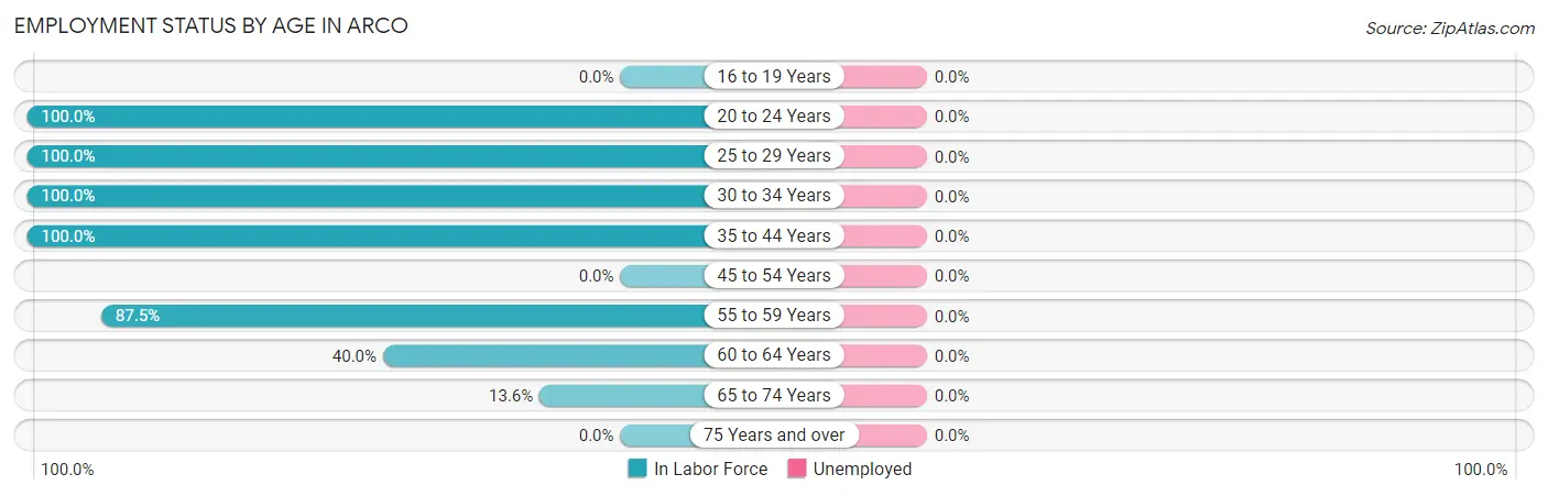 Employment Status by Age in Arco