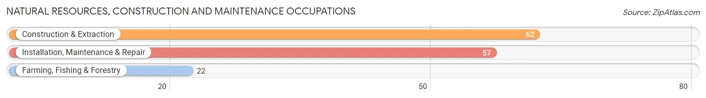 Natural Resources, Construction and Maintenance Occupations in Arden Hills