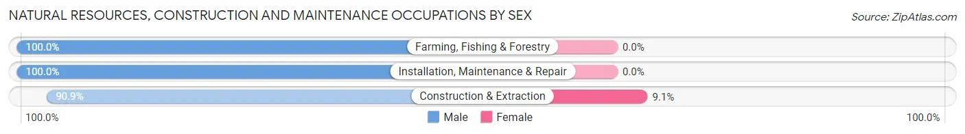 Natural Resources, Construction and Maintenance Occupations by Sex in Askov