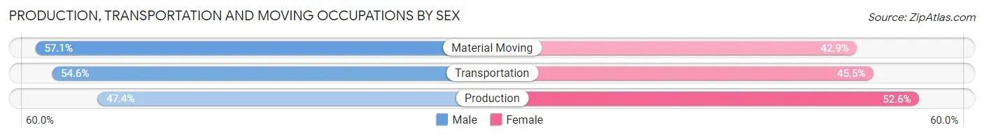 Production, Transportation and Moving Occupations by Sex in Audubon