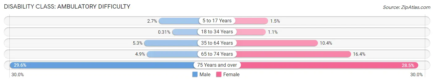 Disability in Austin: <span>Ambulatory Difficulty</span>