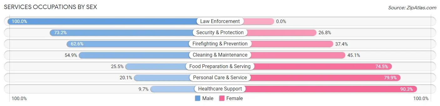 Services Occupations by Sex in Austin