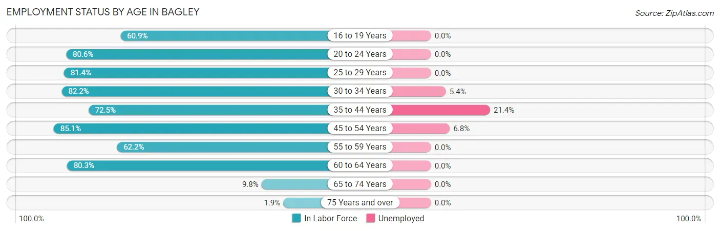 Employment Status by Age in Bagley