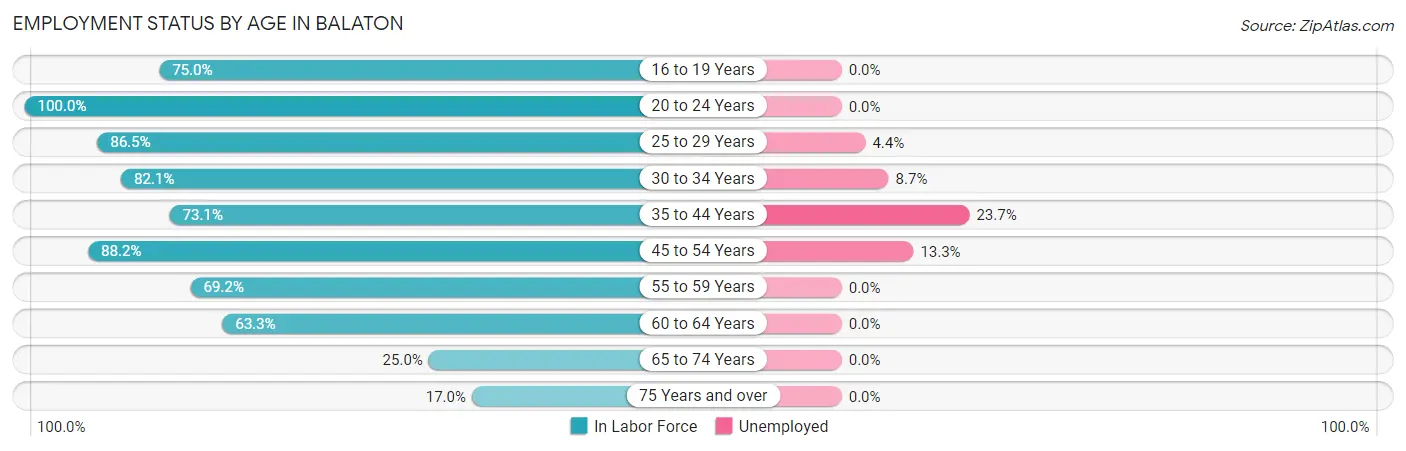 Employment Status by Age in Balaton