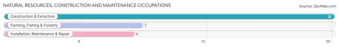 Natural Resources, Construction and Maintenance Occupations in Balaton