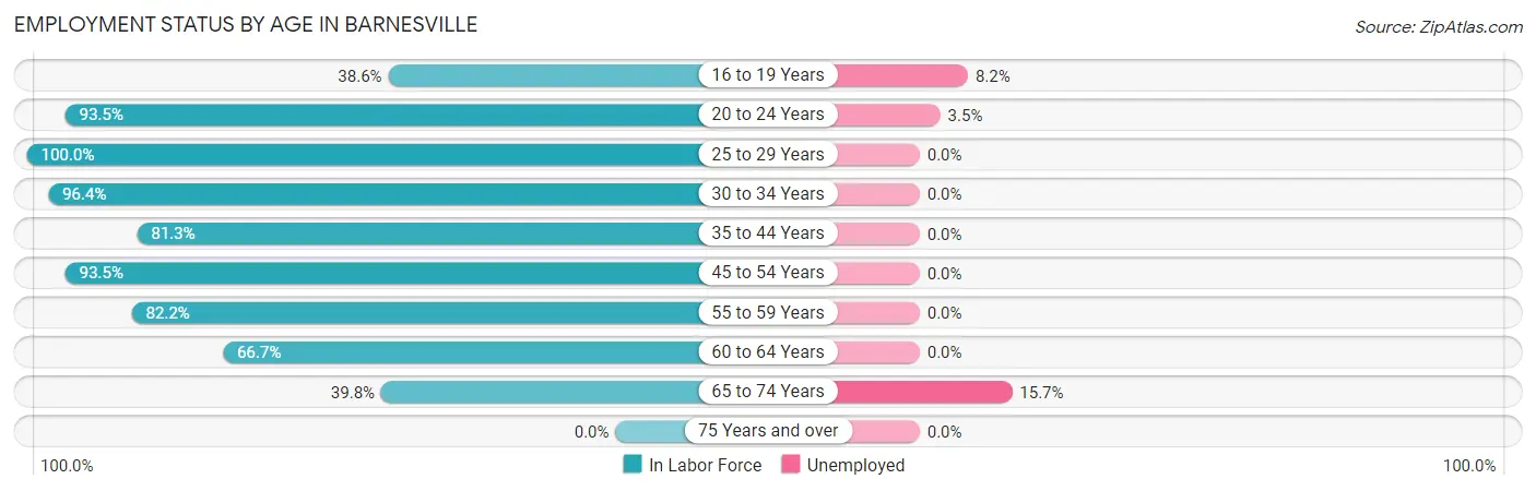 Employment Status by Age in Barnesville