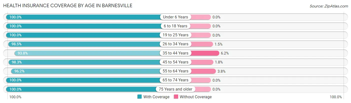 Health Insurance Coverage by Age in Barnesville