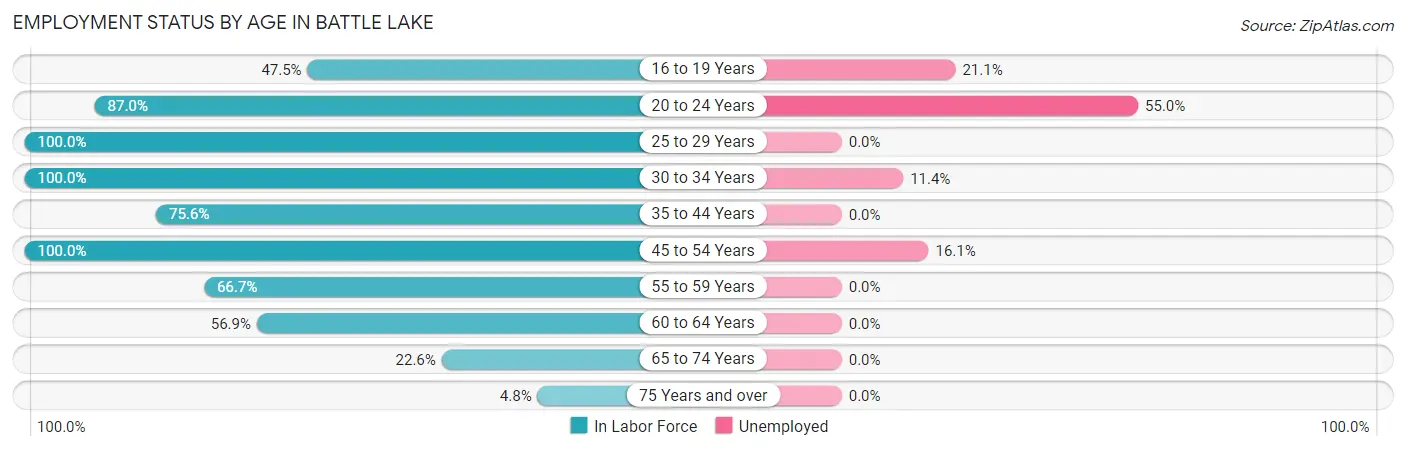 Employment Status by Age in Battle Lake