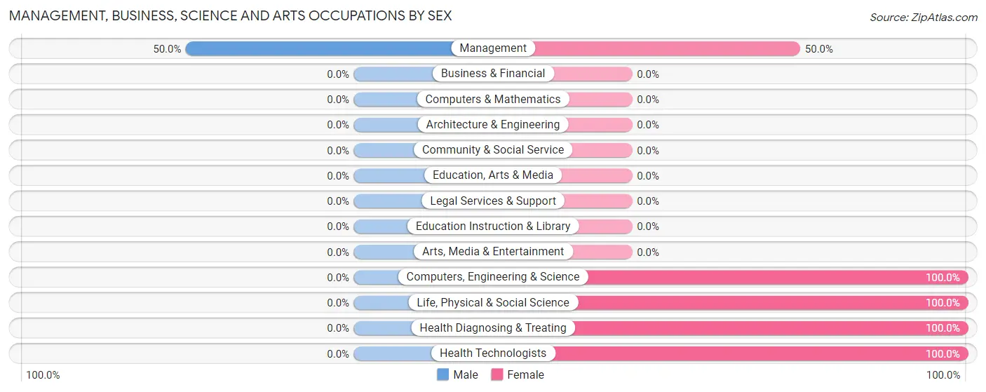 Management, Business, Science and Arts Occupations by Sex in Bejou