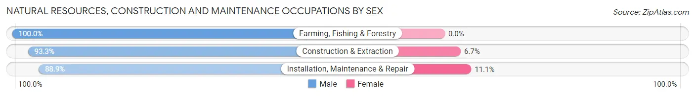Natural Resources, Construction and Maintenance Occupations by Sex in Belgrade