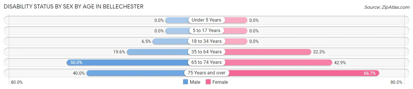 Disability Status by Sex by Age in Bellechester