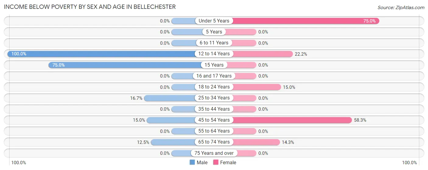 Income Below Poverty by Sex and Age in Bellechester