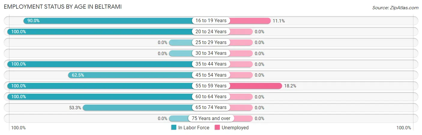 Employment Status by Age in Beltrami