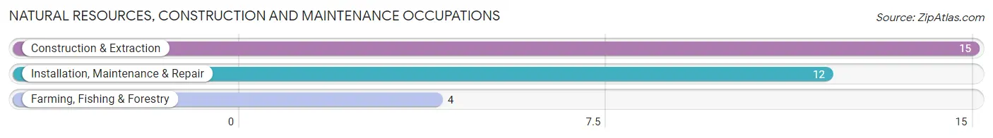 Natural Resources, Construction and Maintenance Occupations in Belview