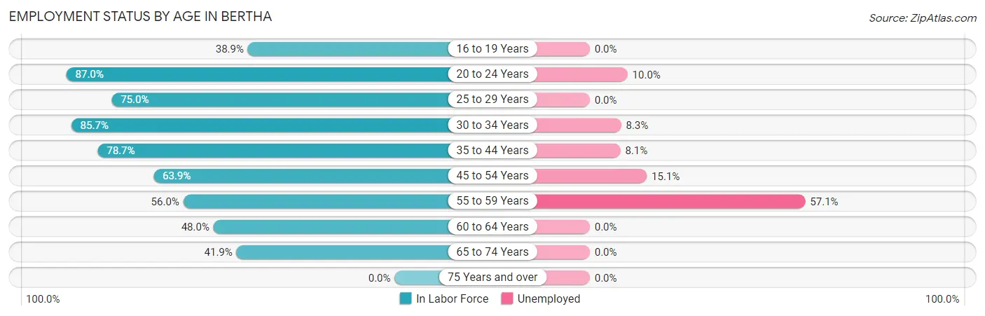 Employment Status by Age in Bertha