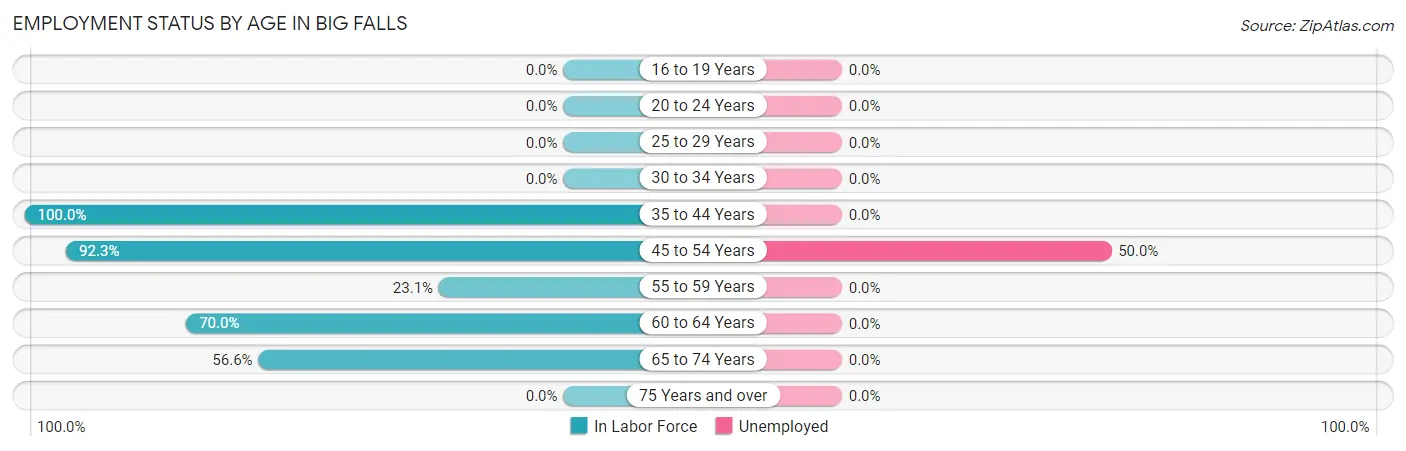 Employment Status by Age in Big Falls