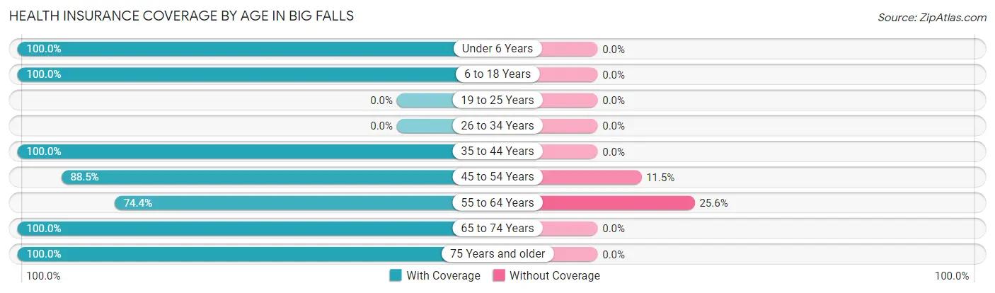 Health Insurance Coverage by Age in Big Falls