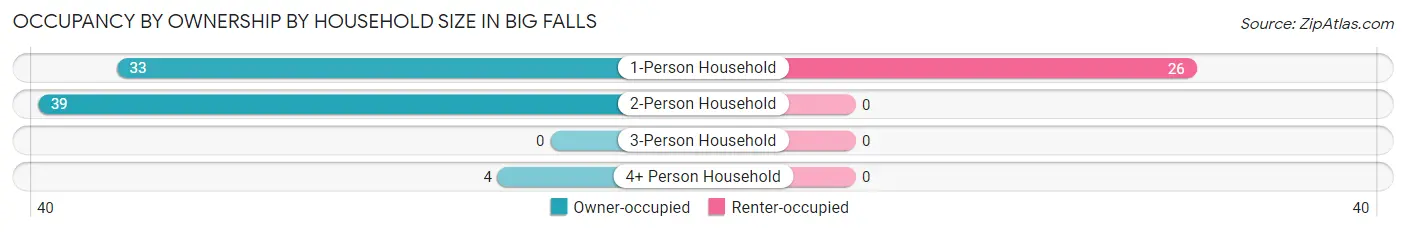 Occupancy by Ownership by Household Size in Big Falls