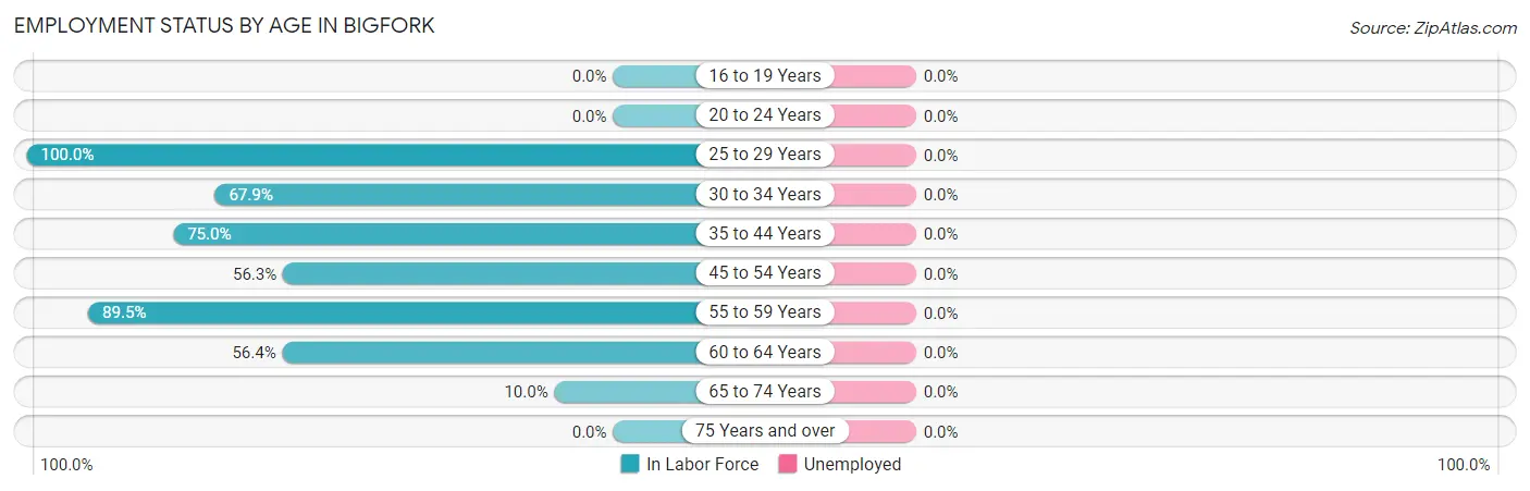 Employment Status by Age in Bigfork