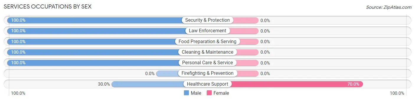 Services Occupations by Sex in Bigfork
