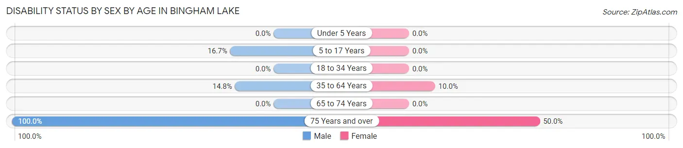 Disability Status by Sex by Age in Bingham Lake