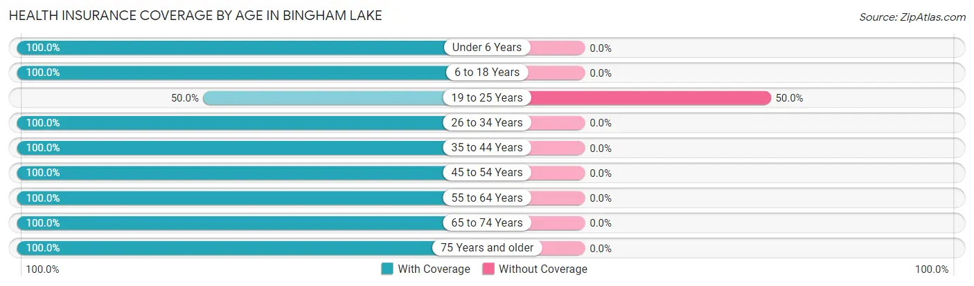 Health Insurance Coverage by Age in Bingham Lake