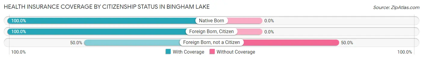 Health Insurance Coverage by Citizenship Status in Bingham Lake
