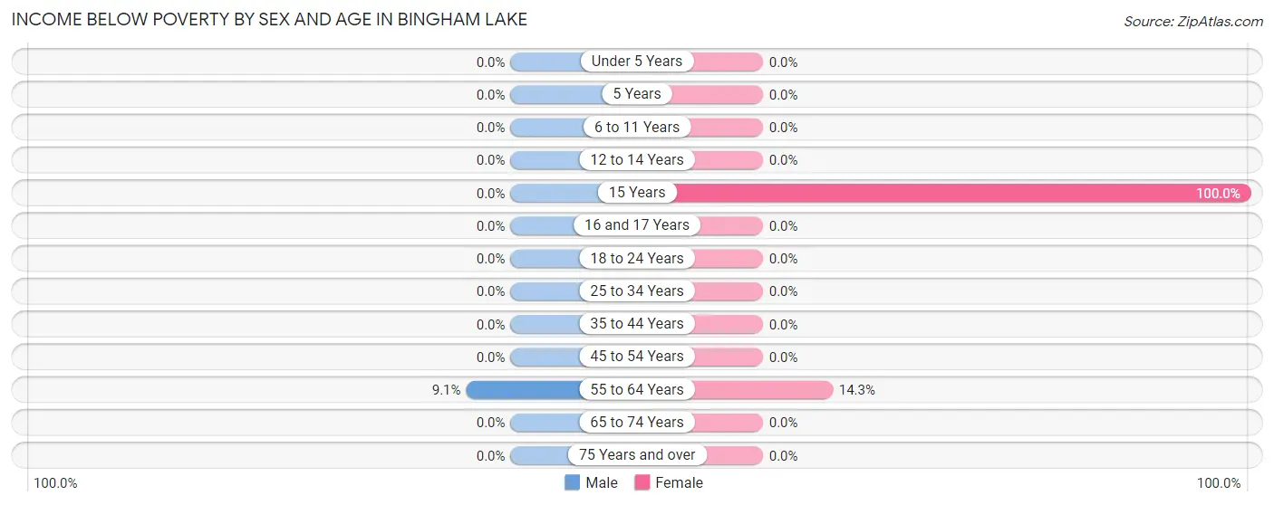 Income Below Poverty by Sex and Age in Bingham Lake