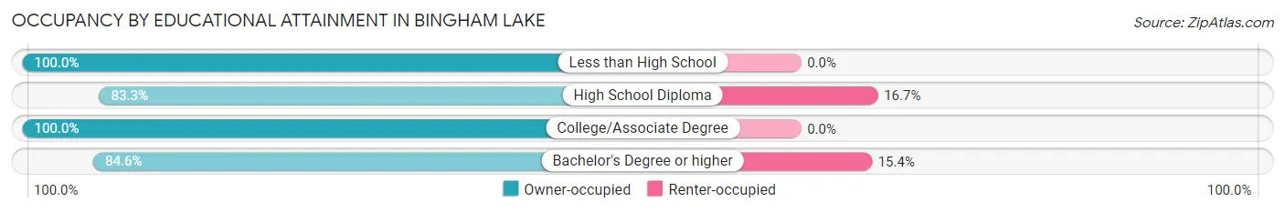 Occupancy by Educational Attainment in Bingham Lake