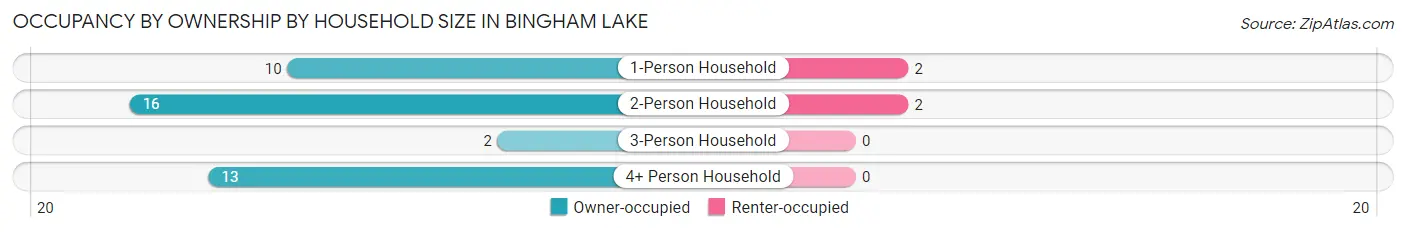 Occupancy by Ownership by Household Size in Bingham Lake