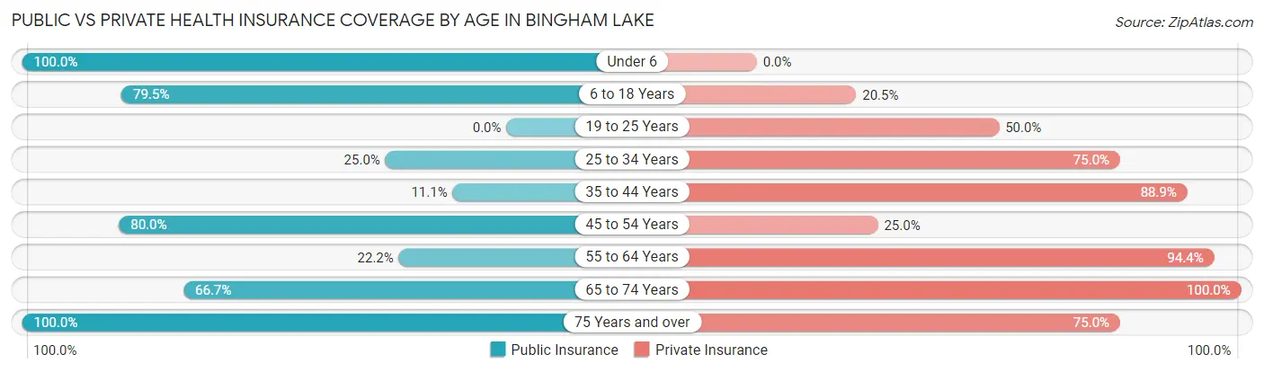Public vs Private Health Insurance Coverage by Age in Bingham Lake