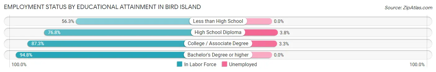 Employment Status by Educational Attainment in Bird Island