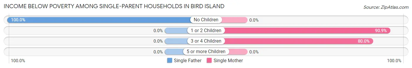 Income Below Poverty Among Single-Parent Households in Bird Island