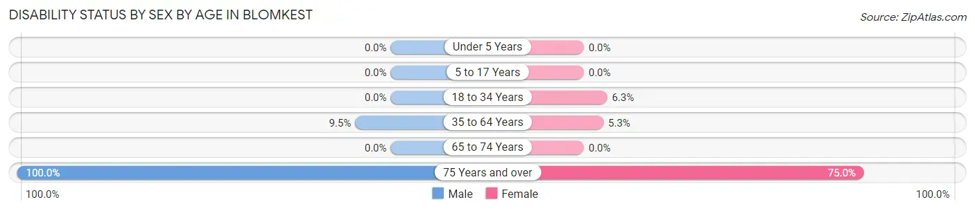 Disability Status by Sex by Age in Blomkest