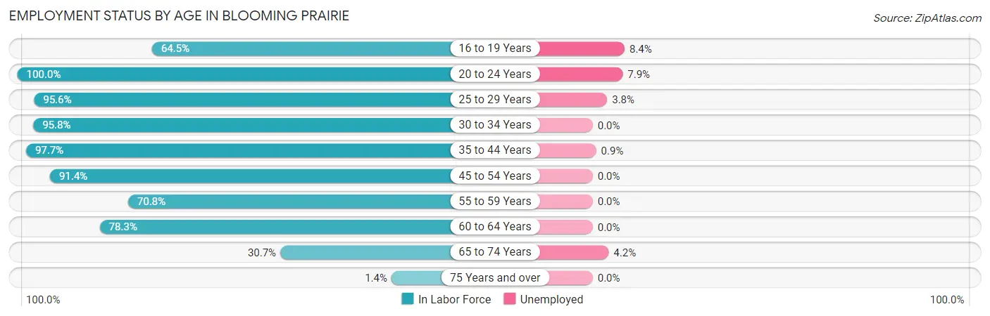 Employment Status by Age in Blooming Prairie