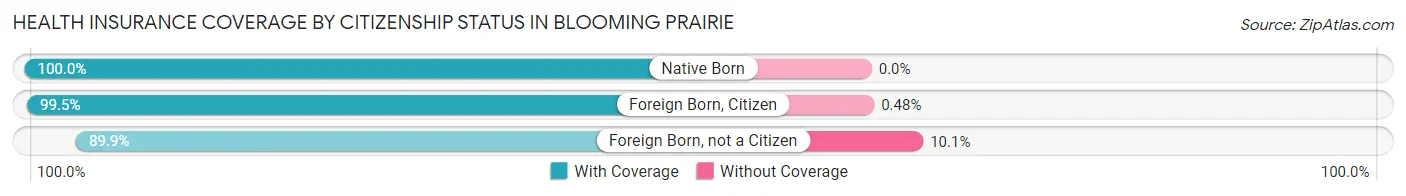 Health Insurance Coverage by Citizenship Status in Blooming Prairie