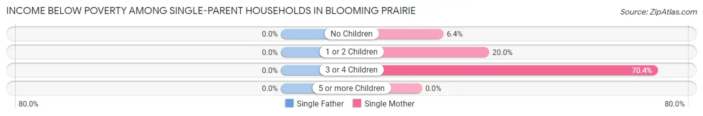 Income Below Poverty Among Single-Parent Households in Blooming Prairie