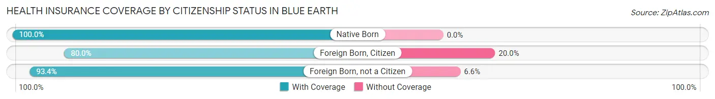 Health Insurance Coverage by Citizenship Status in Blue Earth