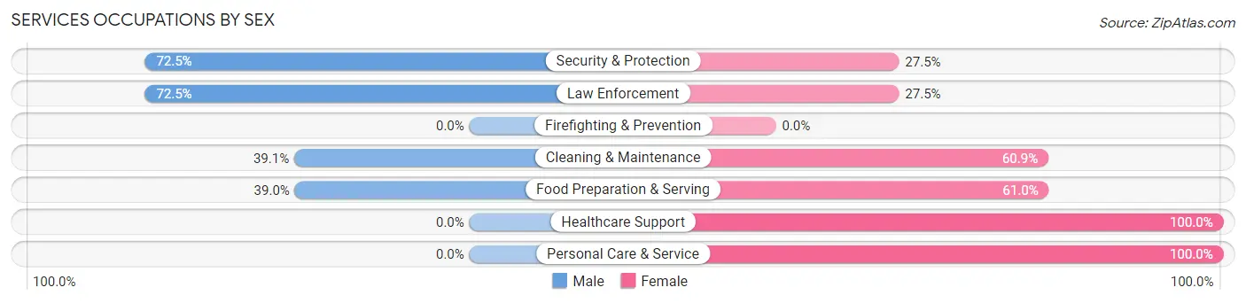 Services Occupations by Sex in Blue Earth