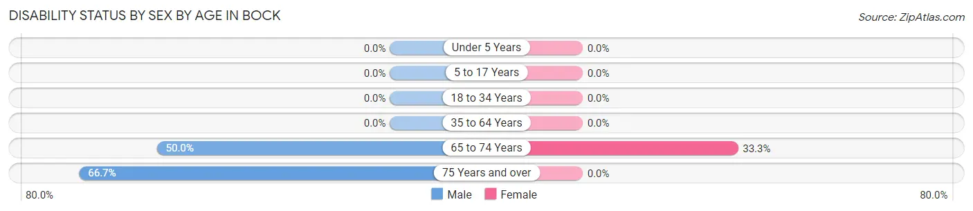 Disability Status by Sex by Age in Bock