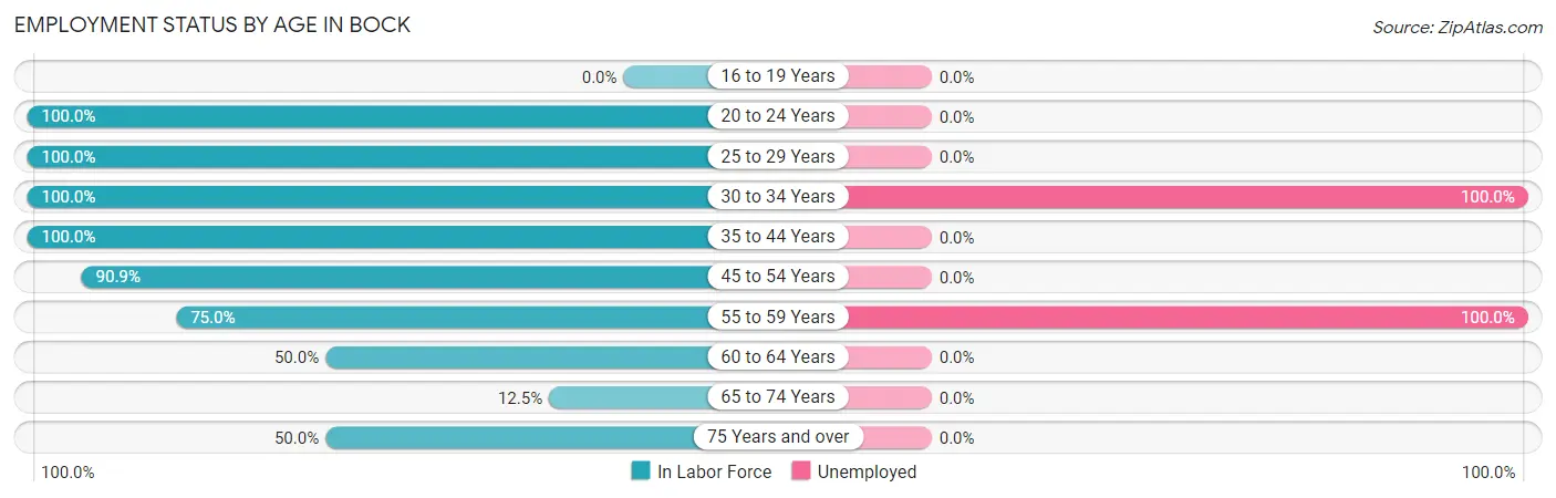 Employment Status by Age in Bock