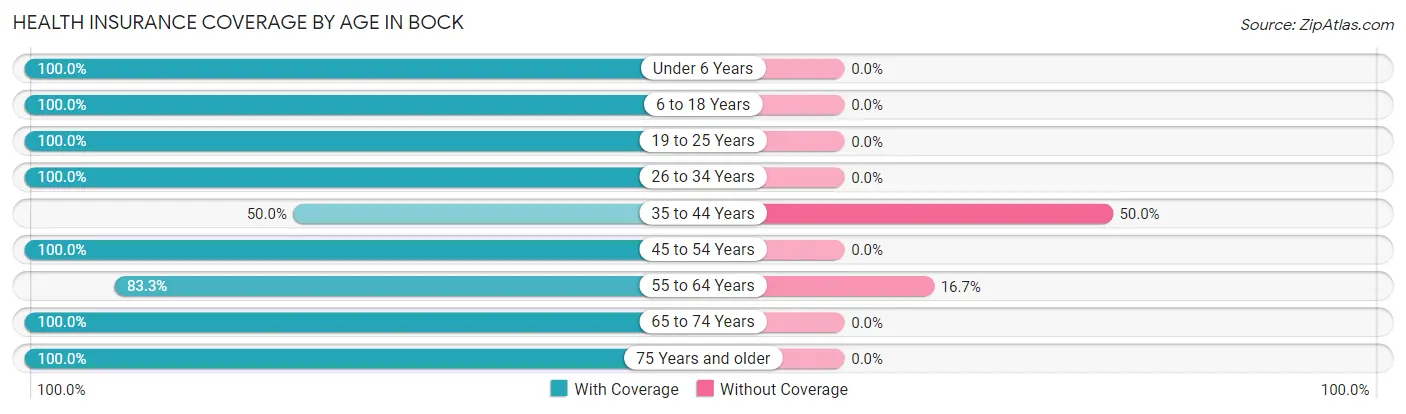Health Insurance Coverage by Age in Bock