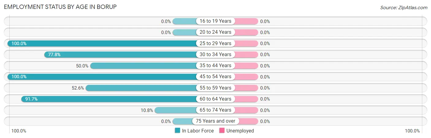 Employment Status by Age in Borup