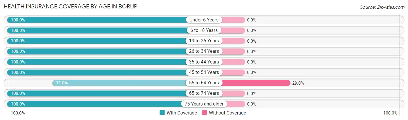 Health Insurance Coverage by Age in Borup