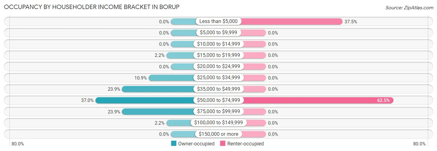 Occupancy by Householder Income Bracket in Borup