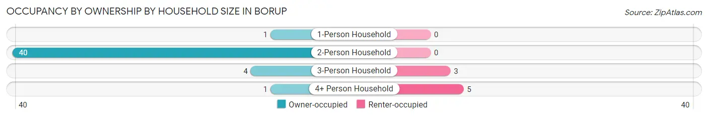 Occupancy by Ownership by Household Size in Borup