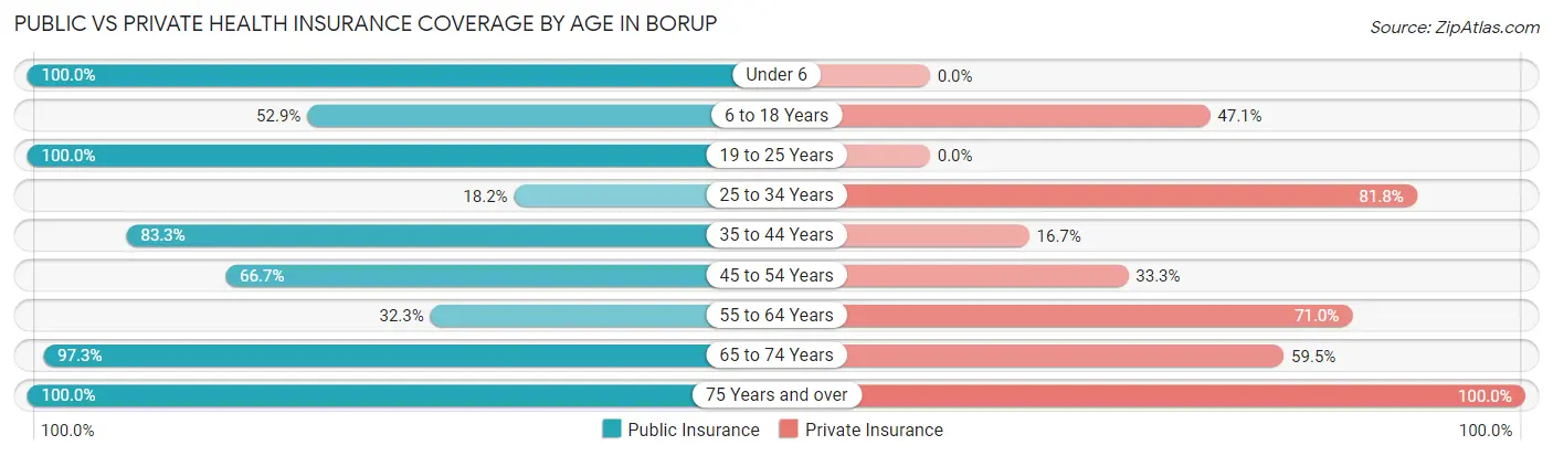 Public vs Private Health Insurance Coverage by Age in Borup