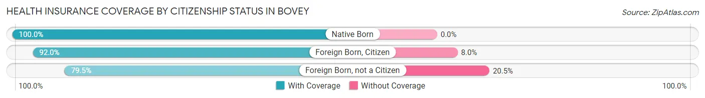 Health Insurance Coverage by Citizenship Status in Bovey