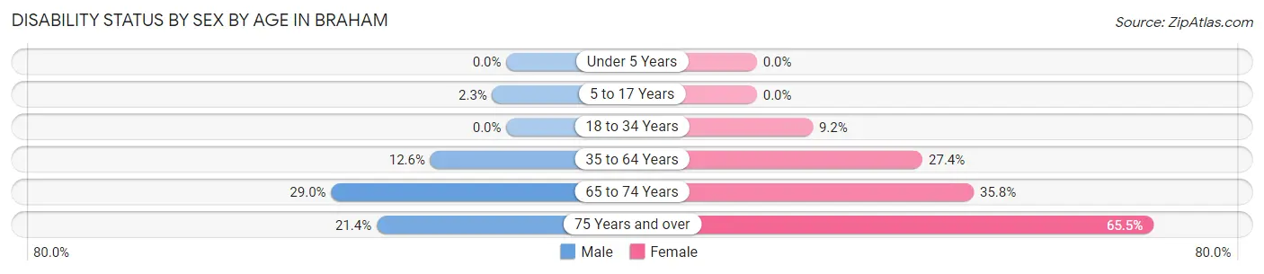 Disability Status by Sex by Age in Braham